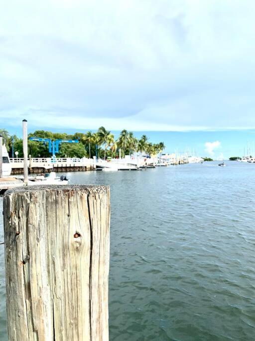 Groveo5 10 Minutes From Miami Beach 外观 照片